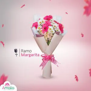 Ramo Margarita de Florería Amalia con margaritas rosas y blancas envueltas en papel estilizado con lazo rosa brillante.