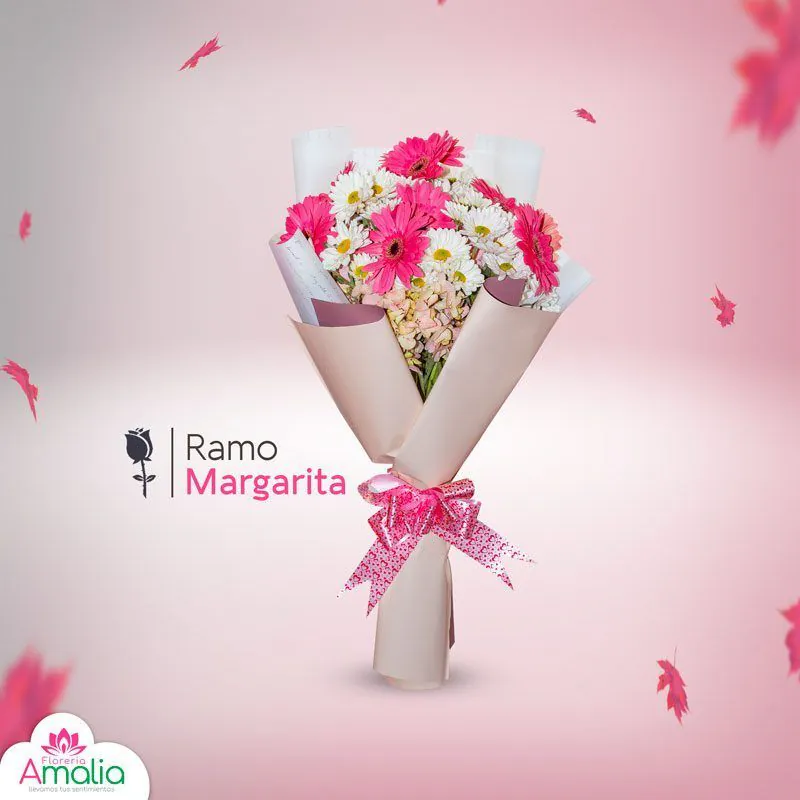 Ramo Margarita de Florería Amalia con margaritas rosas y blancas envueltas en papel estilizado con lazo rosa brillante.