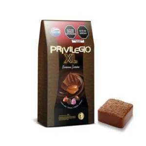 Caja de bombones surtidos Arcor Privilegio XL