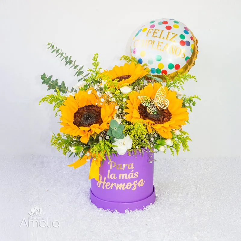 Arreglo de 3 girasoles con globo metálico en caja lila — Florería Amalia