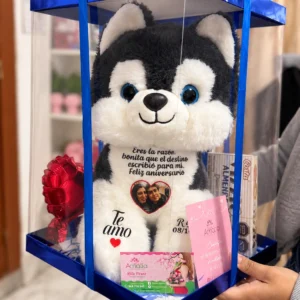 Lobito en caja azul de aniversario con chocolate, globo corazón y tarjeta.