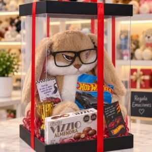 Mi Campeón Favorito: Conejo gruñón con lentes, un Hot Wheels, Vizzio, trofeo y dedicatoria personalizada.